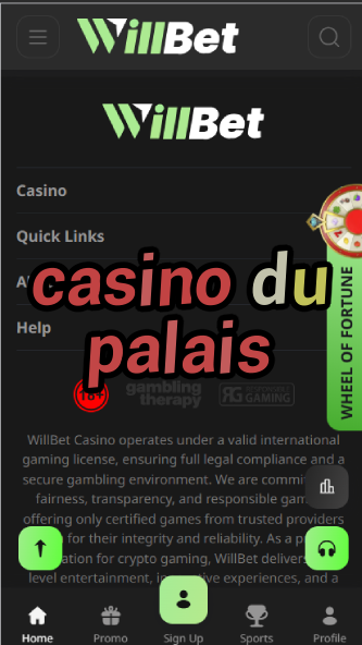 Casino Du Palais - French Palace-Style Casino-casino25demayo.casinoorder.vip
