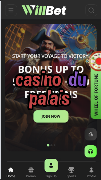 Casino Du Palais - French Palace-Style Casino-casino25demayo.casinoorder.vip